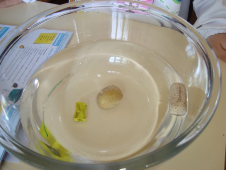 Verificar e analisar os resultados